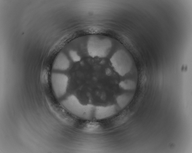 X0000111440214200907271138