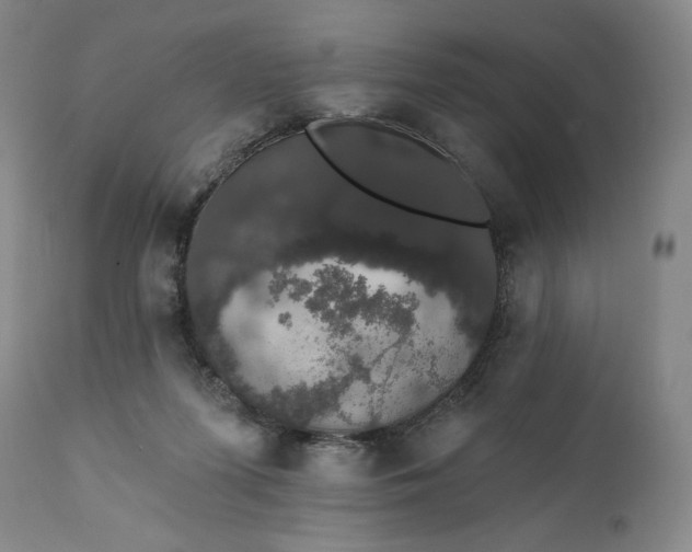 X0000111440215200907271138