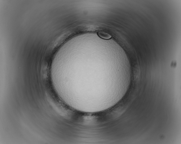 X0000111440216200907271138