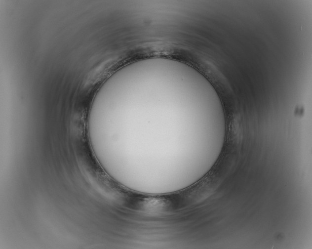 X0000111440218200907271138