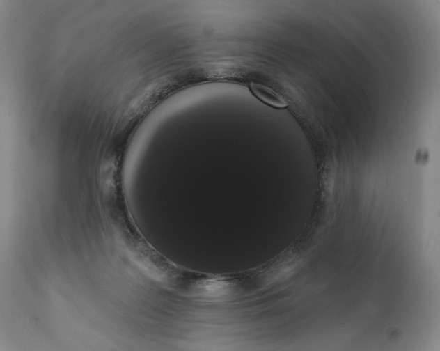 X0000111440219200907271137