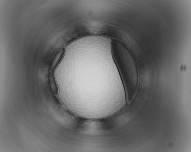 X0000111440221200907271137