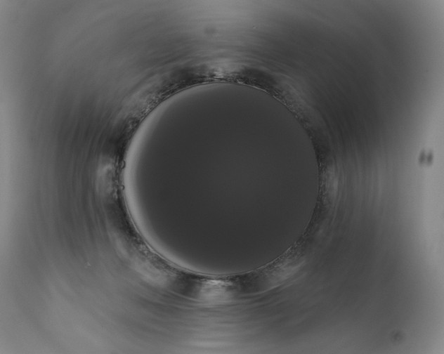 X0000111440222200907271137