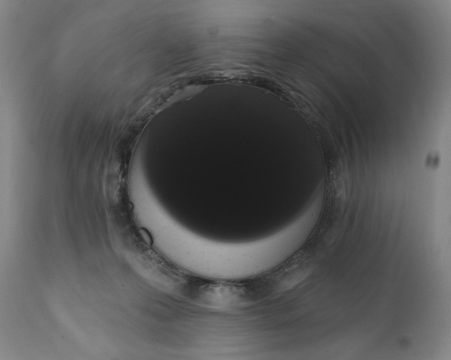 X0000111440223200907271137