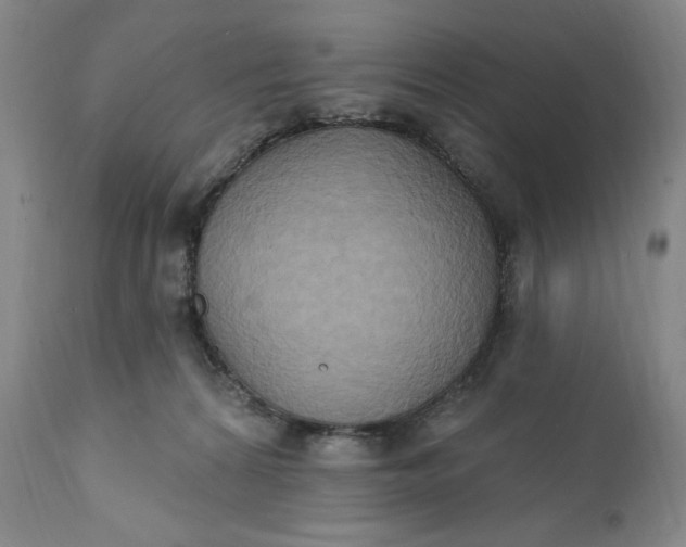 X0000111440224200907271137