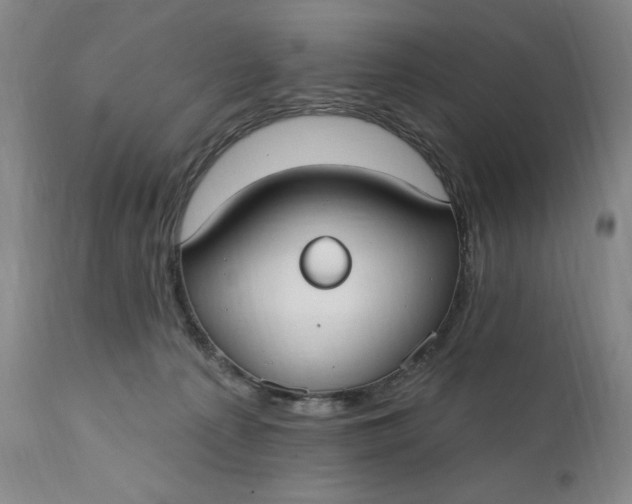 X0000111440225200907271137