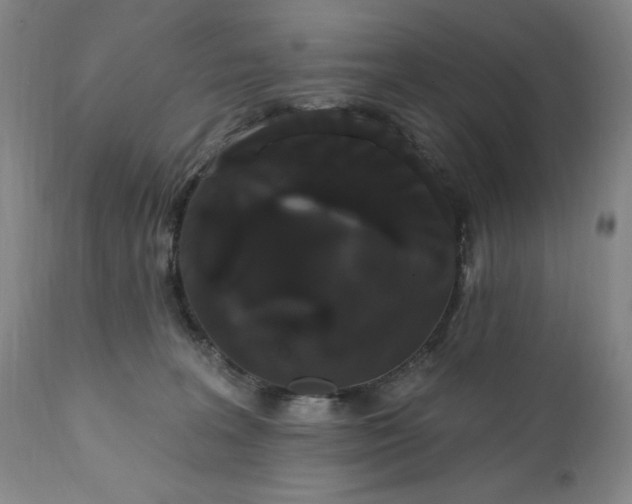 X0000111440227200907271137