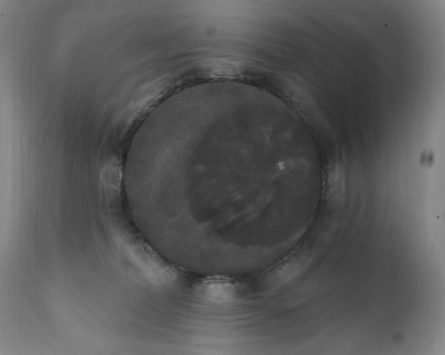 X0000111440228200907271137