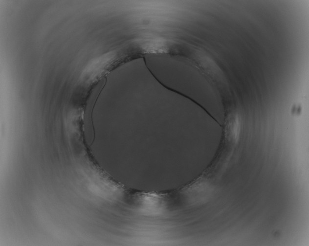 X0000111440229200907271137