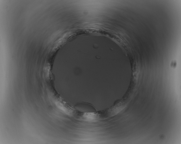 X0000111440231200907271137