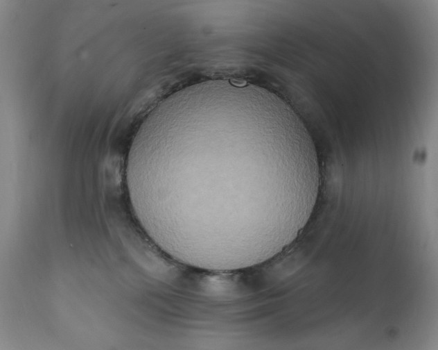 X0000111440232200907271137