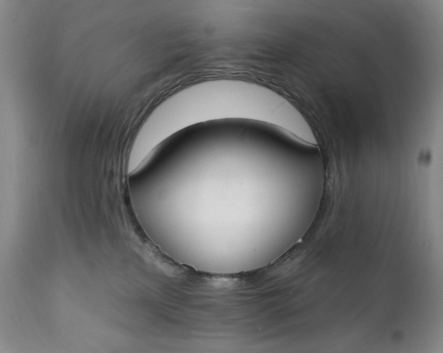 X0000111440233200907271137