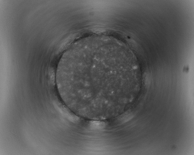 X0000111440234200907271137