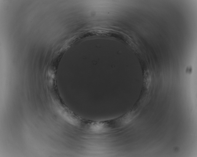 X0000111440235200907271137