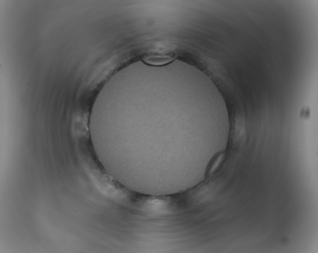 X0000111440236200907271137