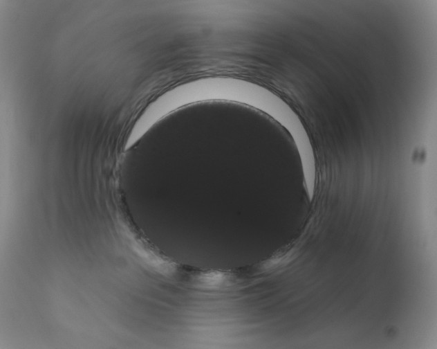 X0000111440237200907271137