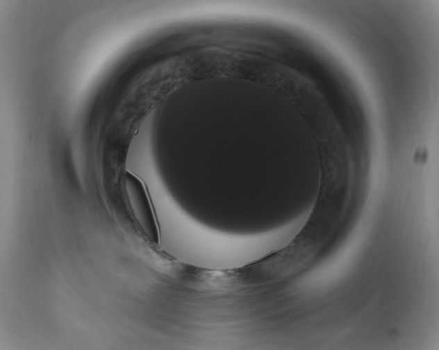 X0000111440239200907271137