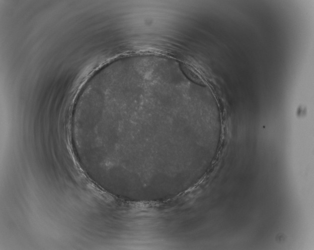 X0000111440241200907271136