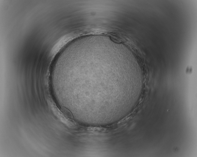 X0000111440242200907271136