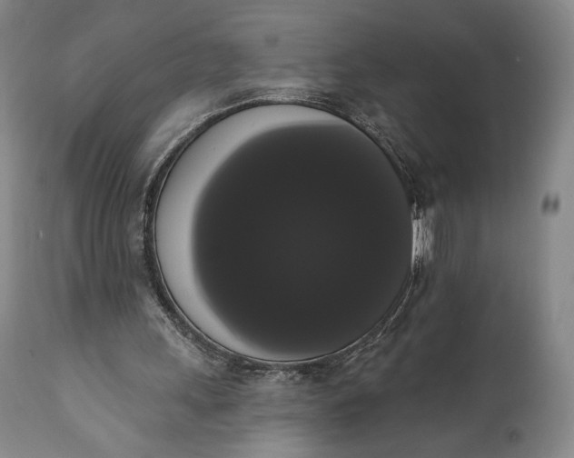 X0000111440243200907271136