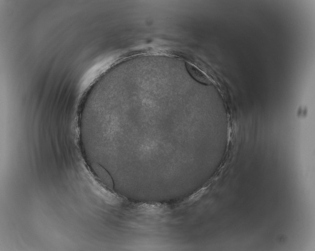 X0000111440245200907271136