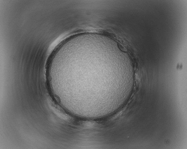 X0000111440246200907271136