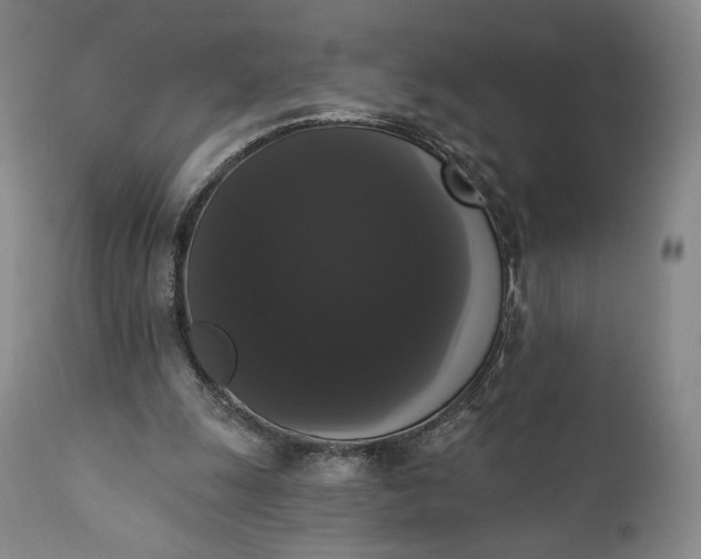 X0000111440247200907271136