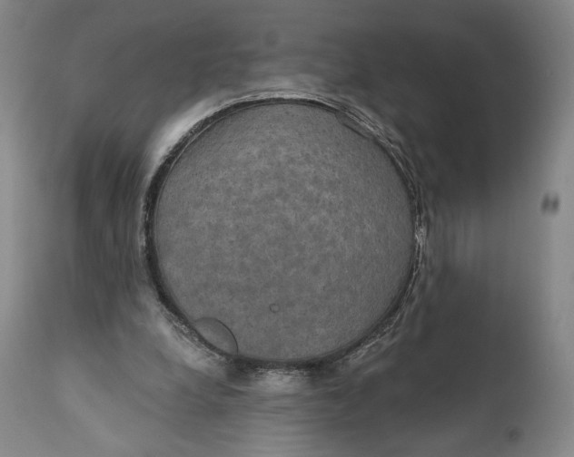 X0000111440248200907271136