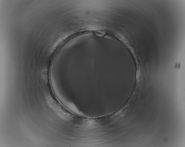 X0000111440249200907271136