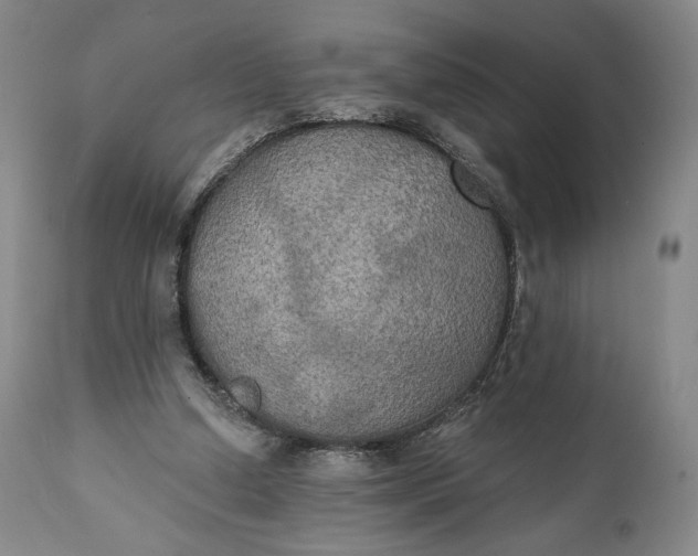 X0000111440250200907271136