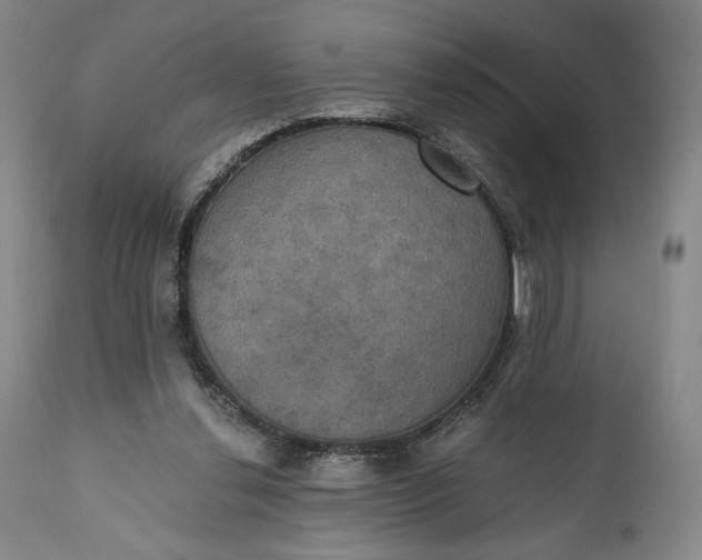 X0000111440252200907271136