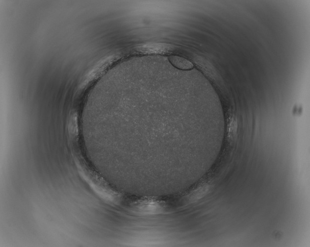 X0000111440254200907271137