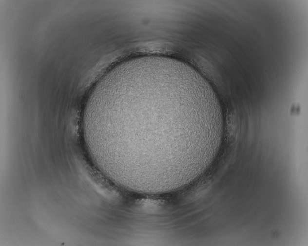 X0000111440255200907271137