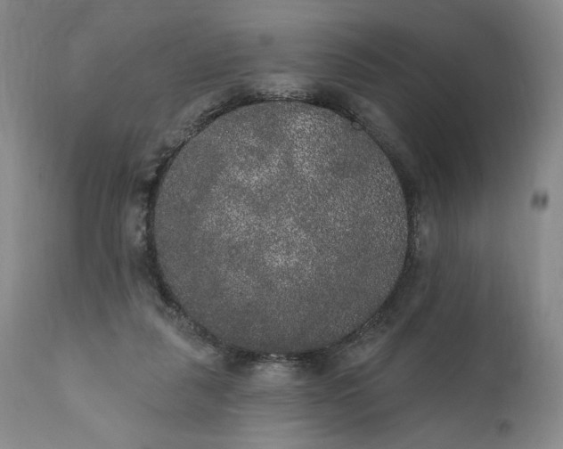 X0000111440259200907271137