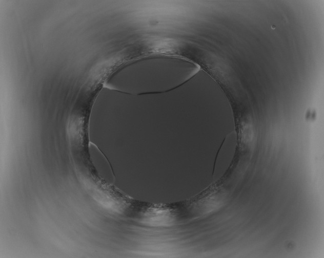 X0000111440260200907271137