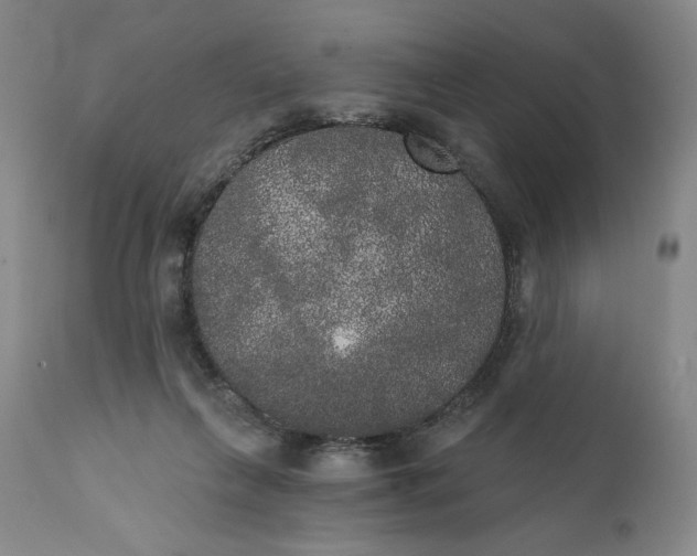 X0000111440263200907271137