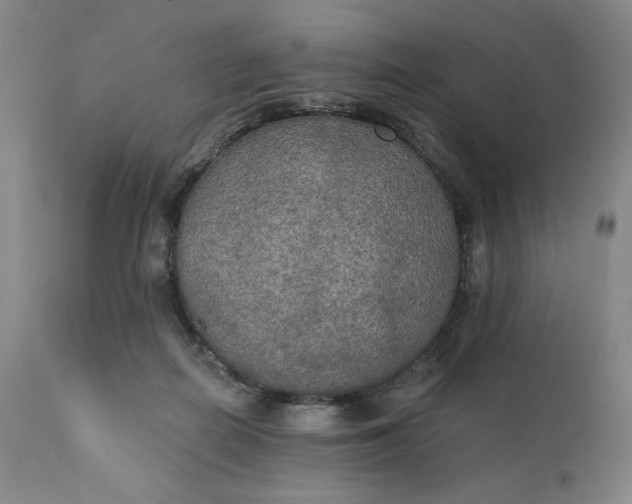 X0000111440266200907271137