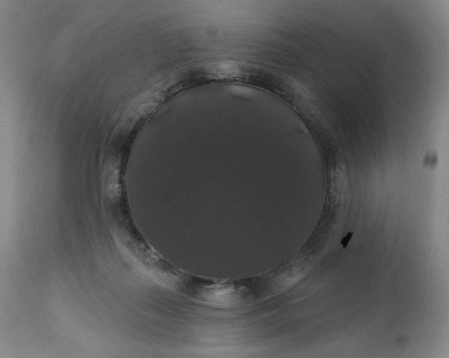 X0000111440267200907271137