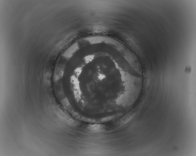 X0000111440269200907271137