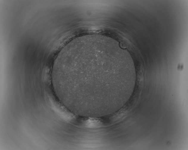 X0000111440270200907271137