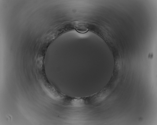 X0000111440271200907271137