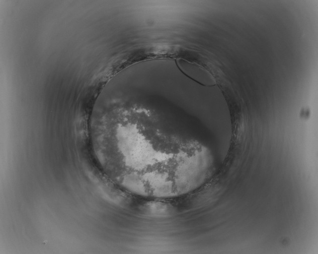 X0000111440272200907271137