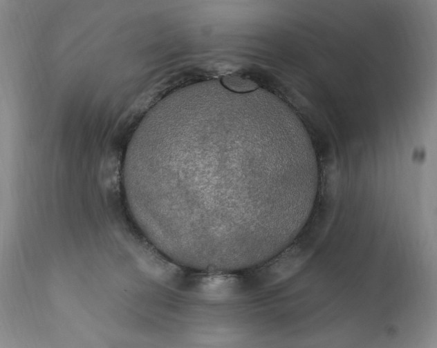 X0000111440274200907271137