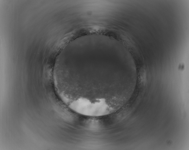 X0000111440276200907271137