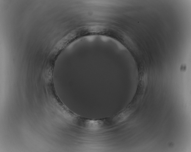 X0000111440277200907271137