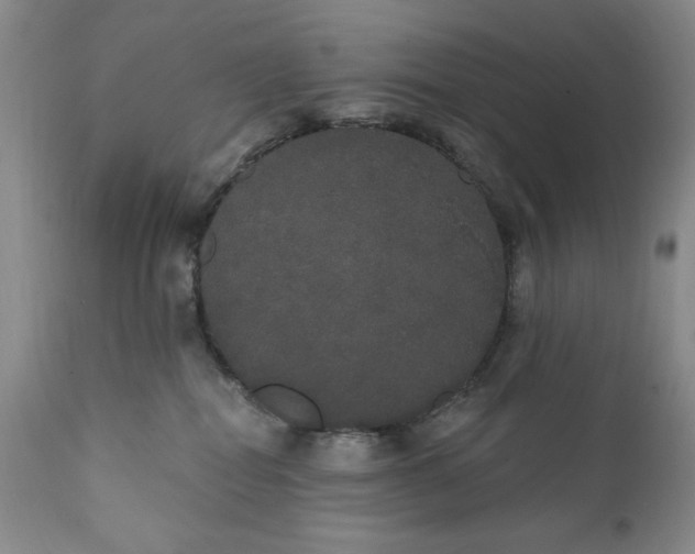 X0000111440282200907271137