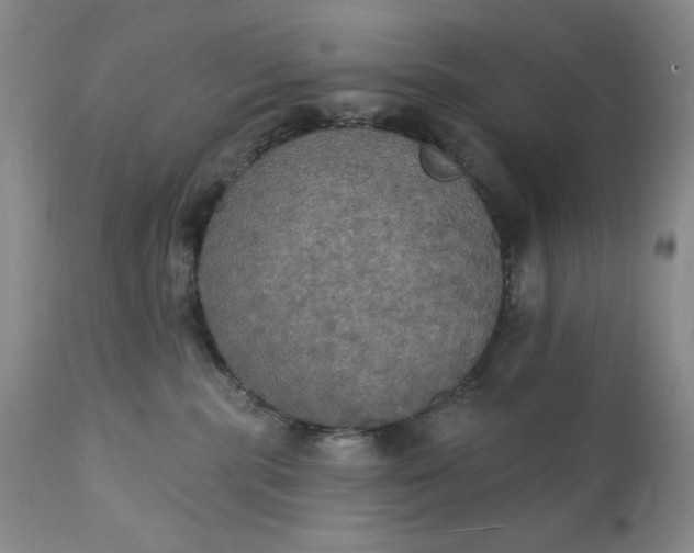 X0000111440283200907271137