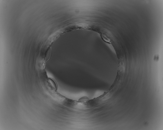 X0000111440285200907271137