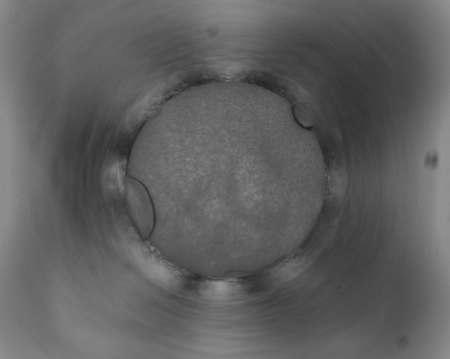 X0000111440286200907271137