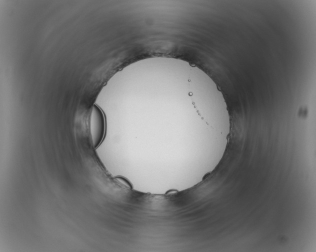 X0000111440287200907271137